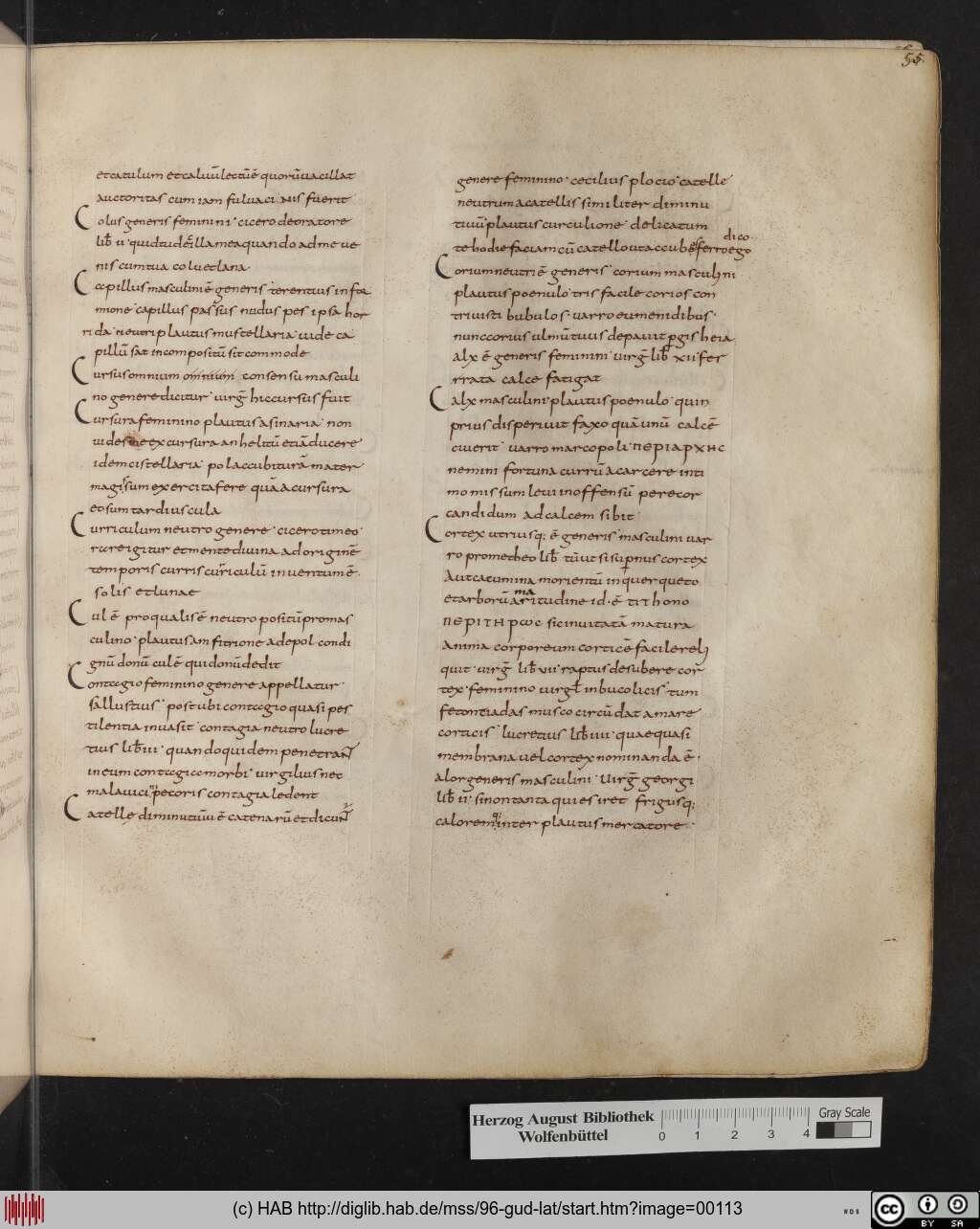 http://diglib.hab.de/mss/96-gud-lat/00113.jpg