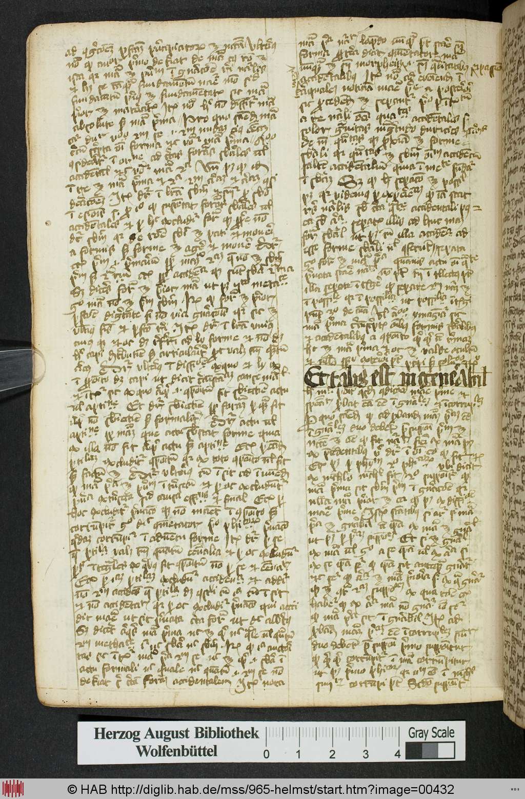 http://diglib.hab.de/mss/965-helmst/00432.jpg