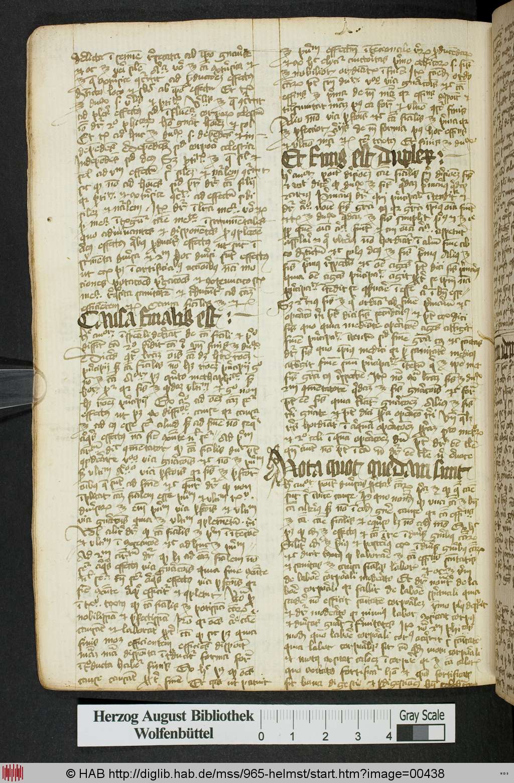 http://diglib.hab.de/mss/965-helmst/00438.jpg