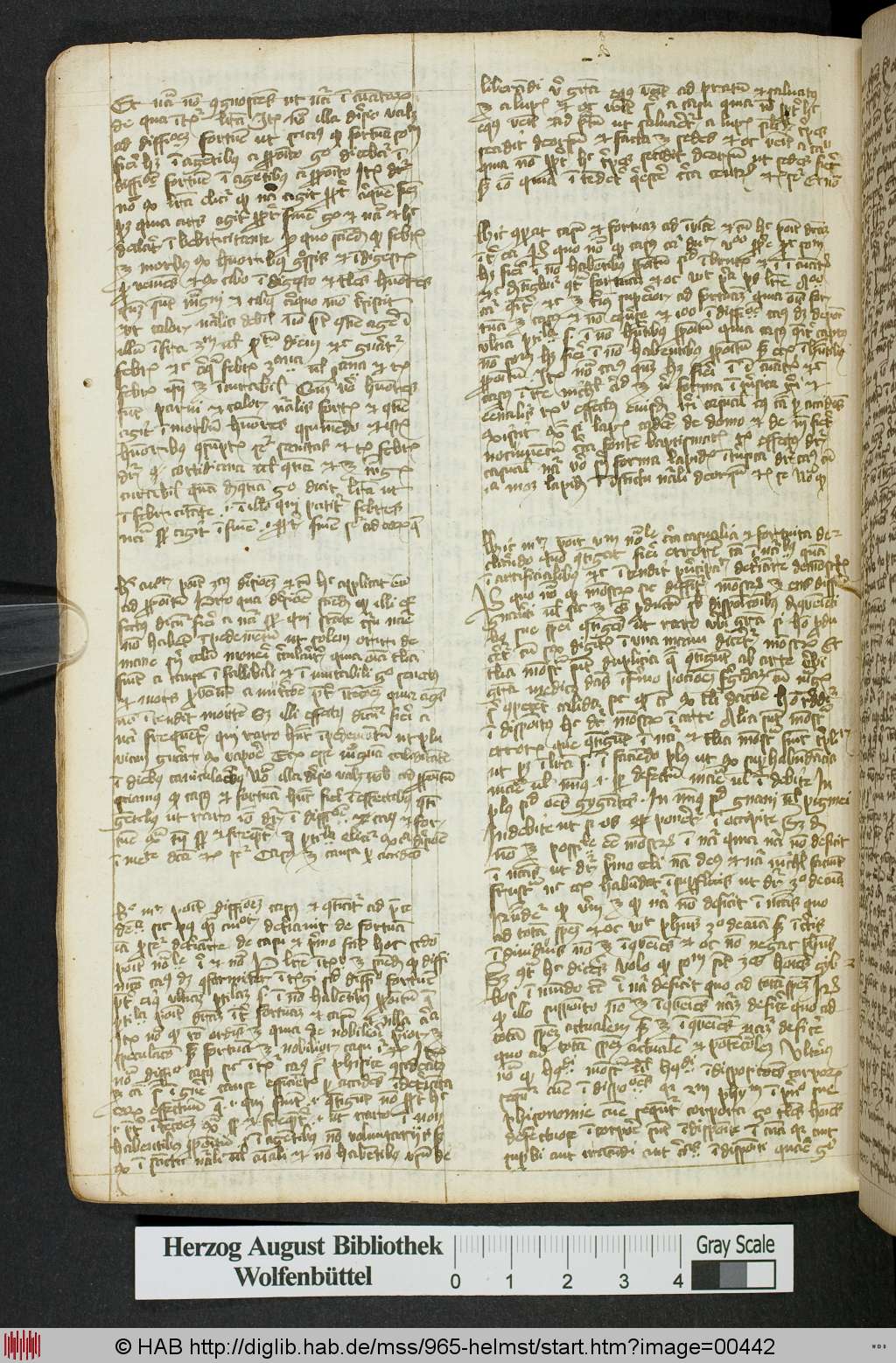 http://diglib.hab.de/mss/965-helmst/00442.jpg