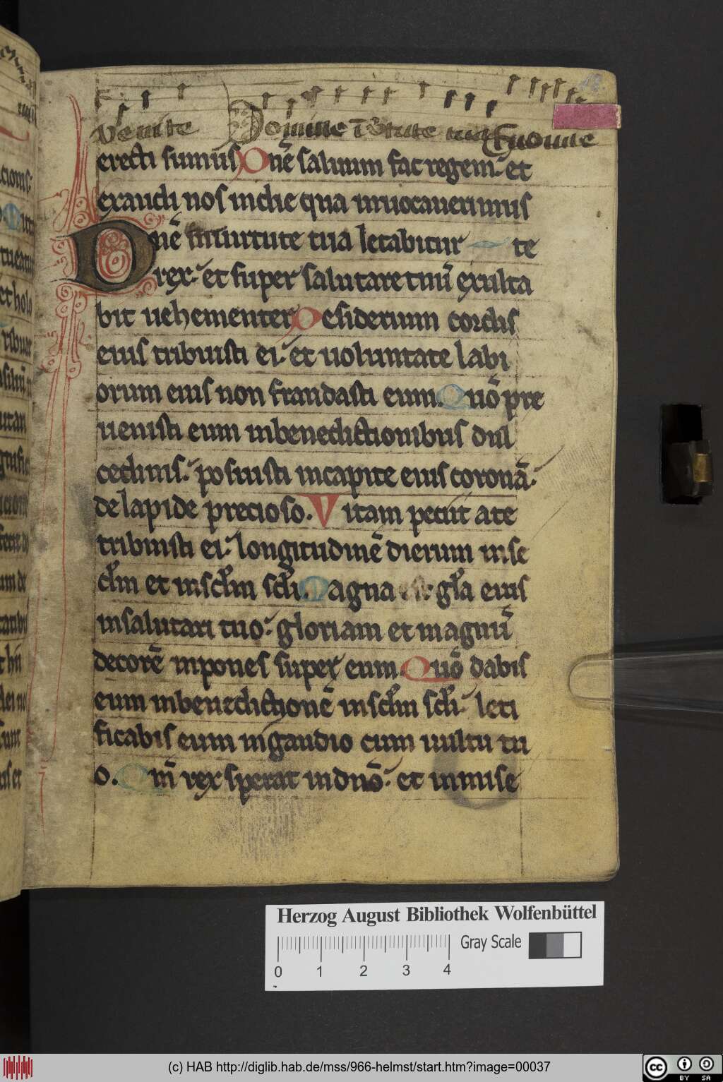http://diglib.hab.de/mss/966-helmst/00037.jpg