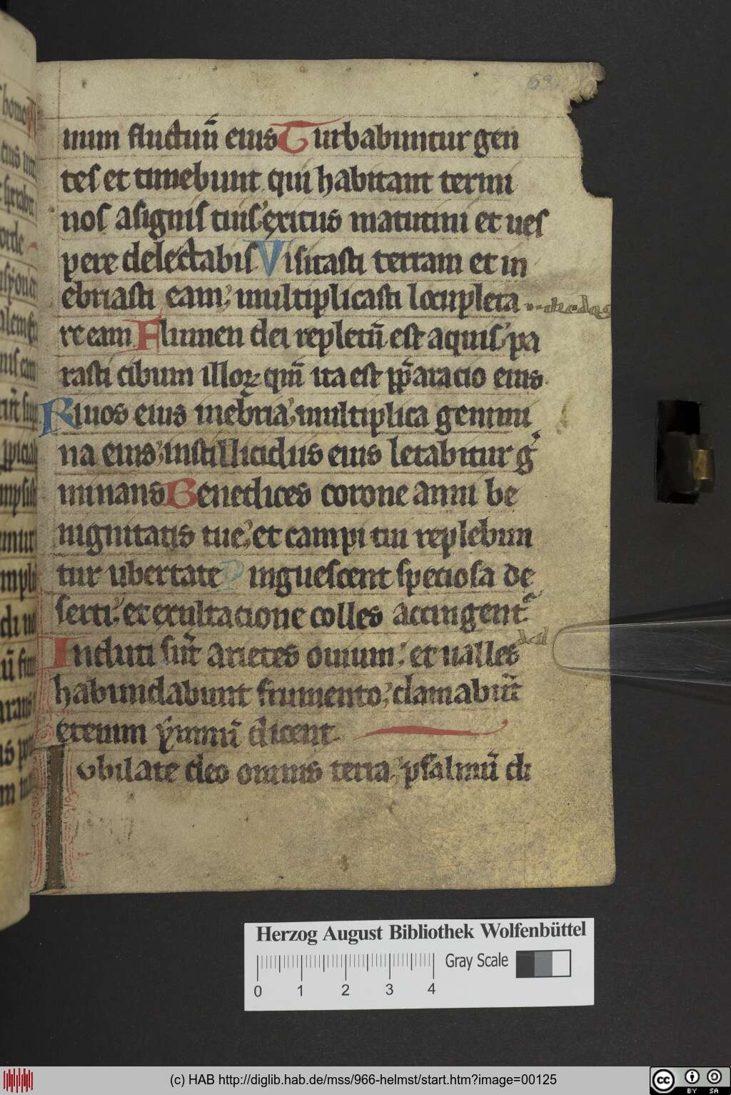 http://diglib.hab.de/mss/966-helmst/00125.jpg