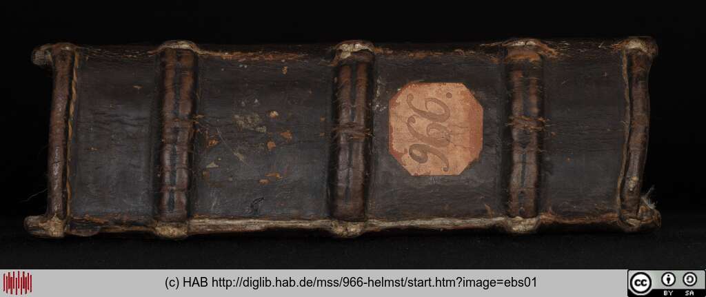 http://diglib.hab.de/mss/966-helmst/ebs01.jpg