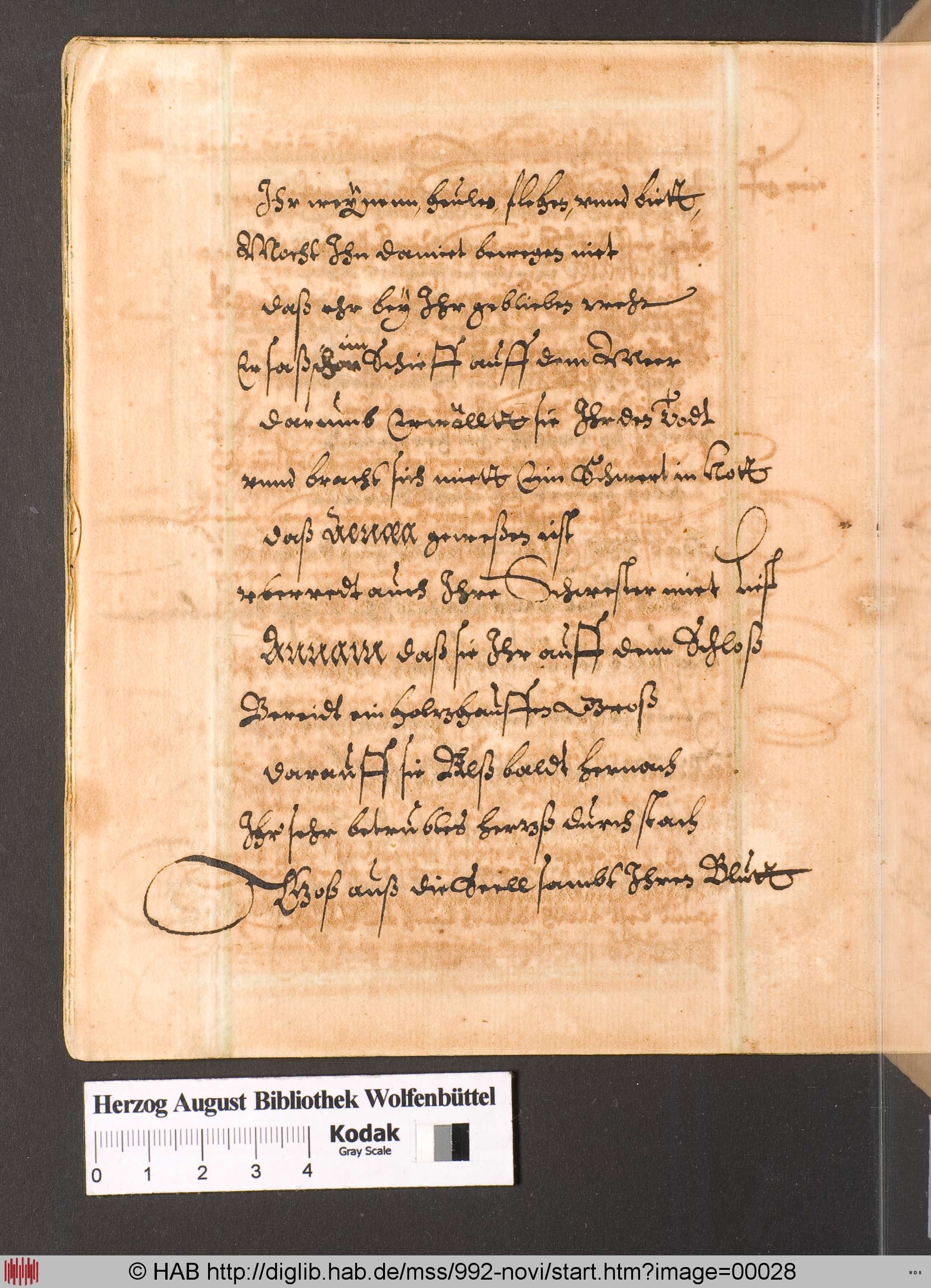 http://diglib.hab.de/mss/992-novi/max/00028.jpg