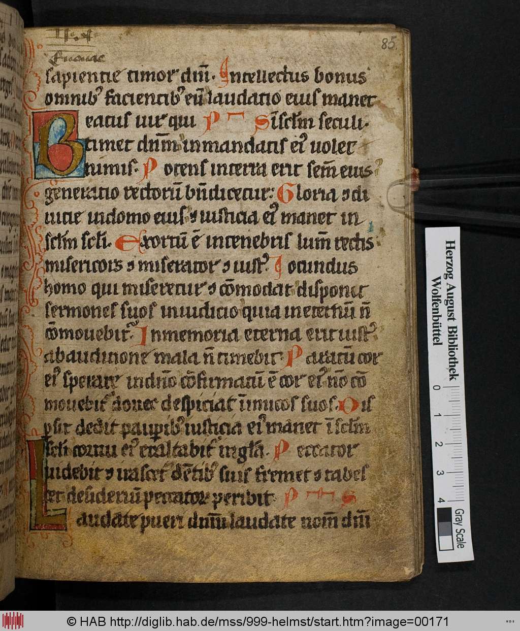 http://diglib.hab.de/mss/999-helmst/00171.jpg