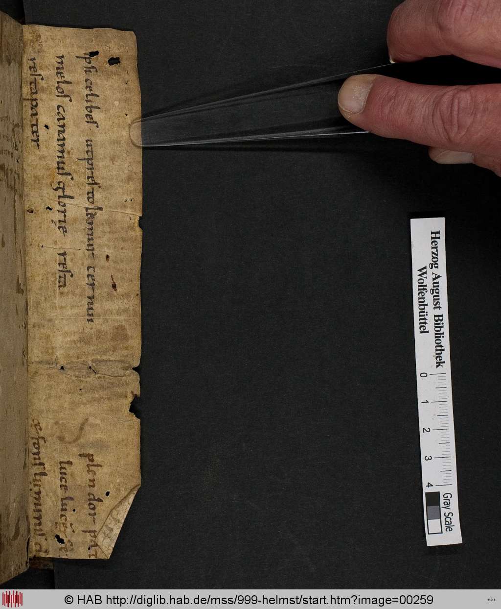http://diglib.hab.de/mss/999-helmst/00259.jpg