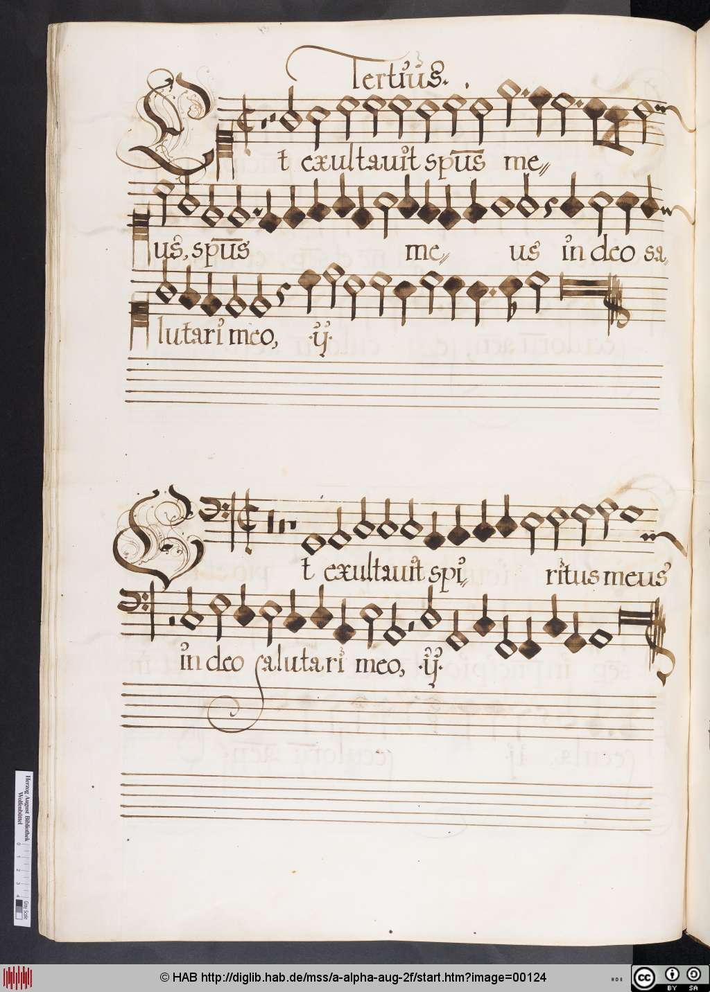 http://diglib.hab.de/mss/a-alpha-aug-2f/00124.jpg