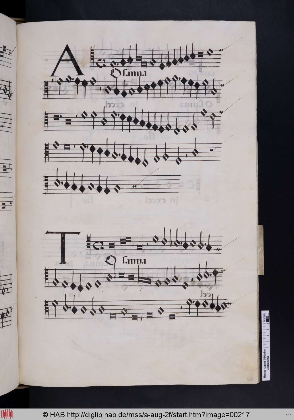 http://diglib.hab.de/mss/a-aug-2f/00217.jpg