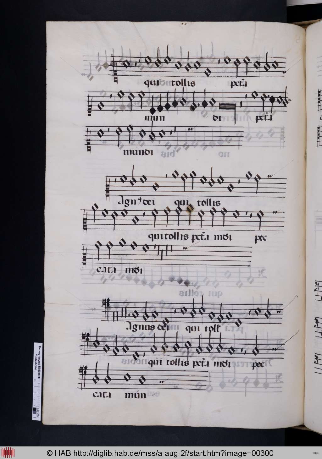 http://diglib.hab.de/mss/a-aug-2f/00300.jpg