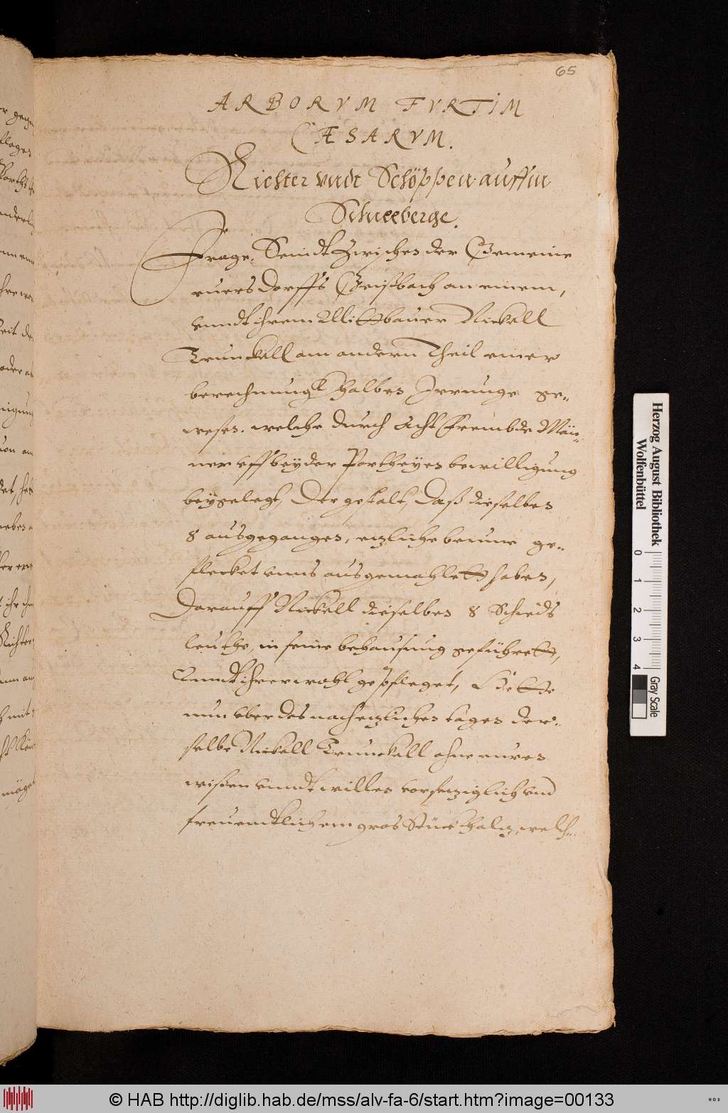 http://diglib.hab.de/mss/alv-fa-6/00133.jpg