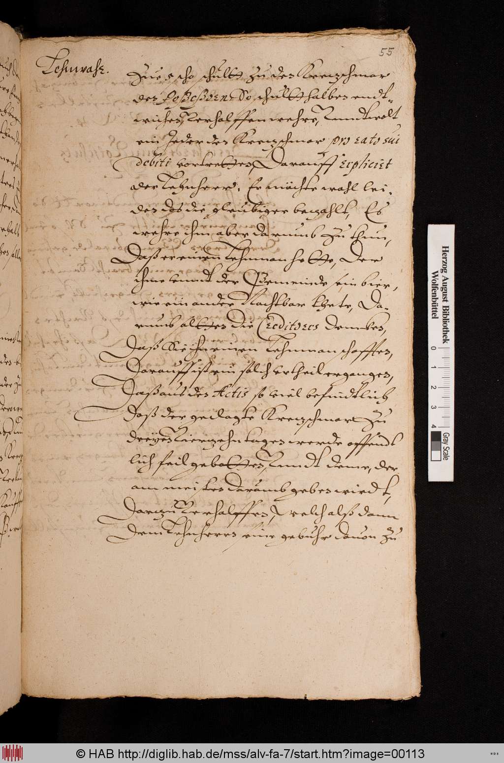 http://diglib.hab.de/mss/alv-fa-7/00113.jpg