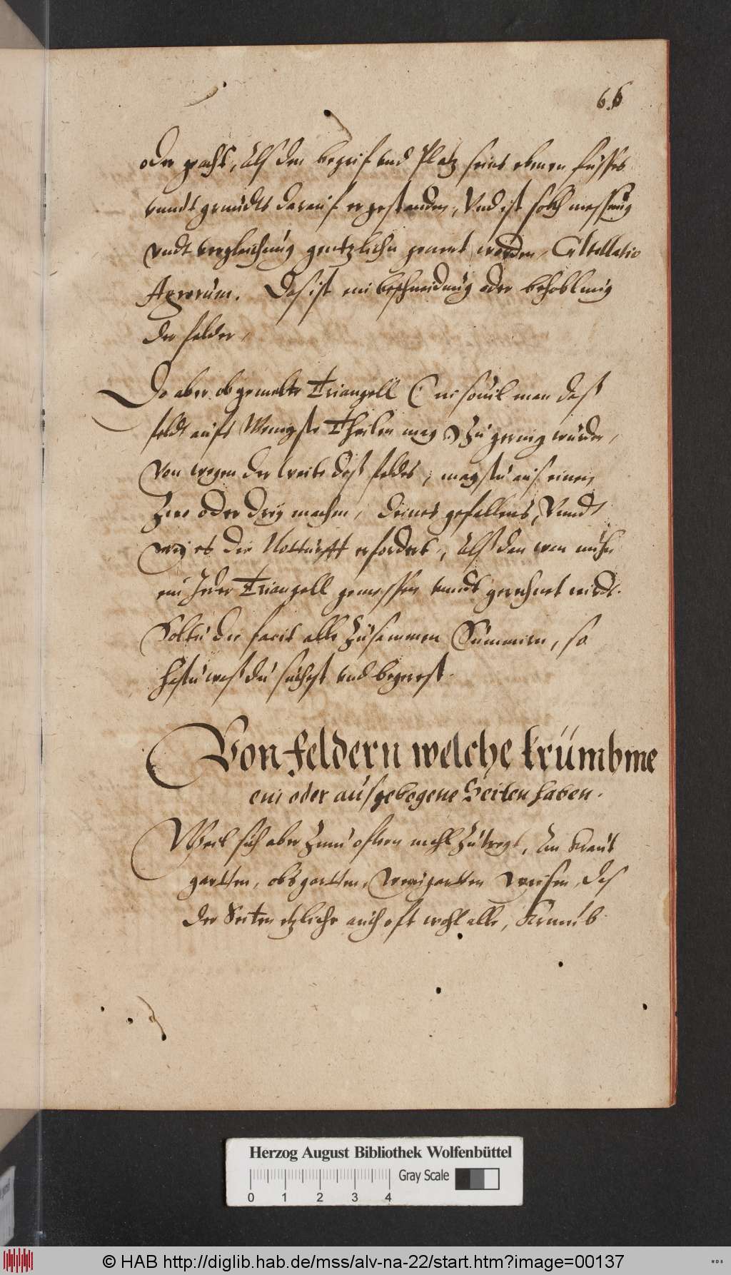 http://diglib.hab.de/mss/alv-na-22/00137.jpg