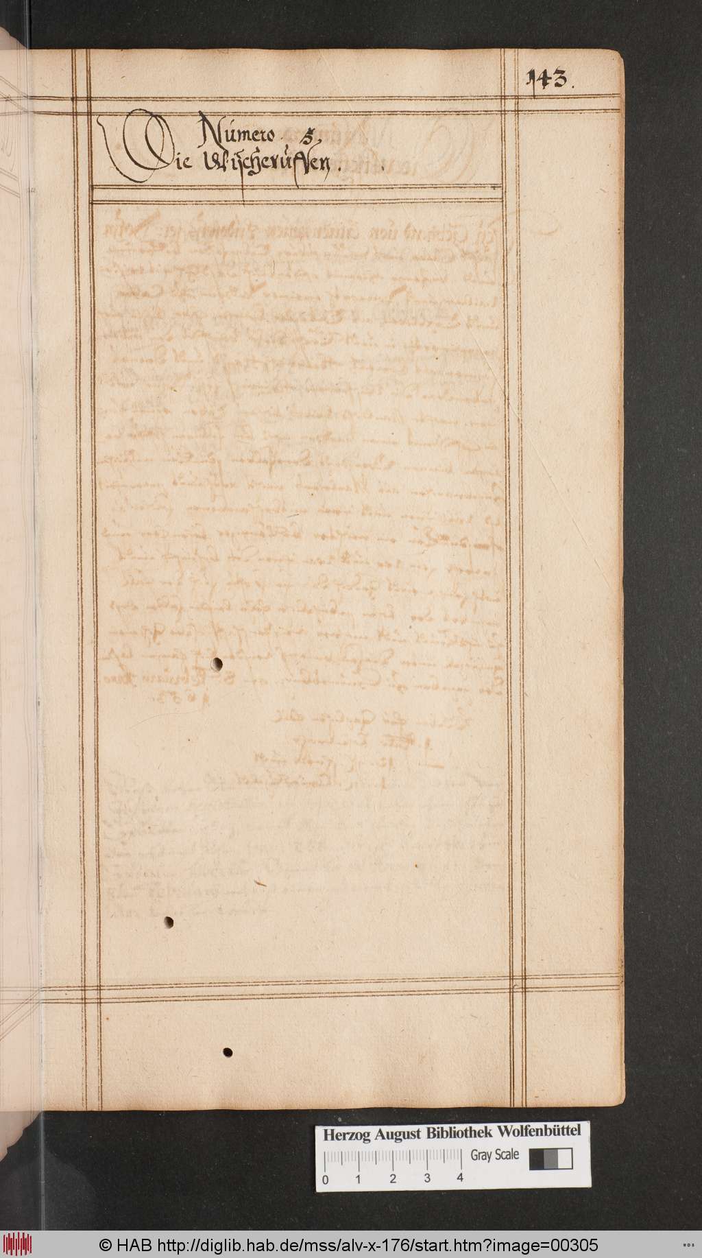 http://diglib.hab.de/mss/alv-x-176/00305.jpg