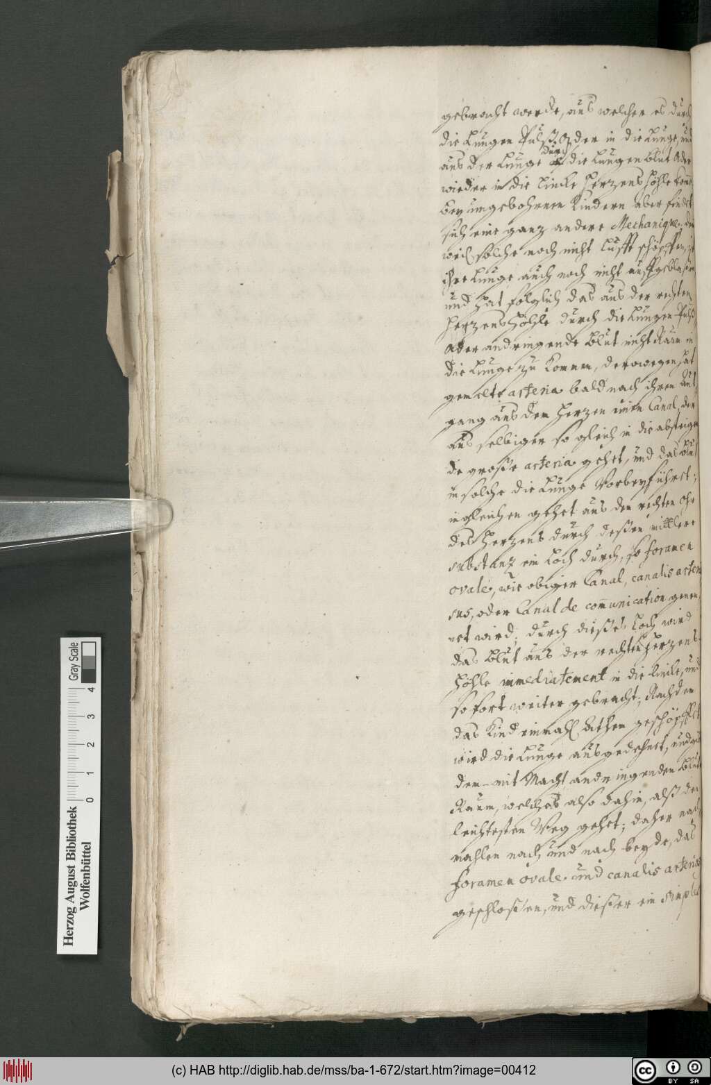 http://diglib.hab.de/mss/ba-1-672/00412.jpg