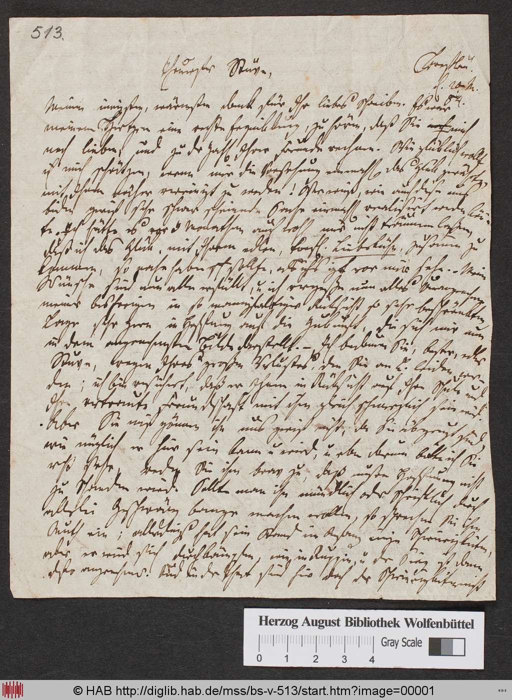 http://diglib.hab.de/mss/bs-v-513/00001.jpg