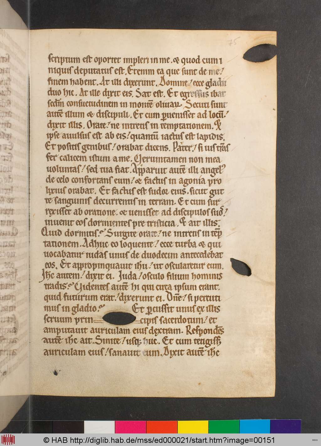 http://diglib.hab.de/mss/ed000021/00151.jpg