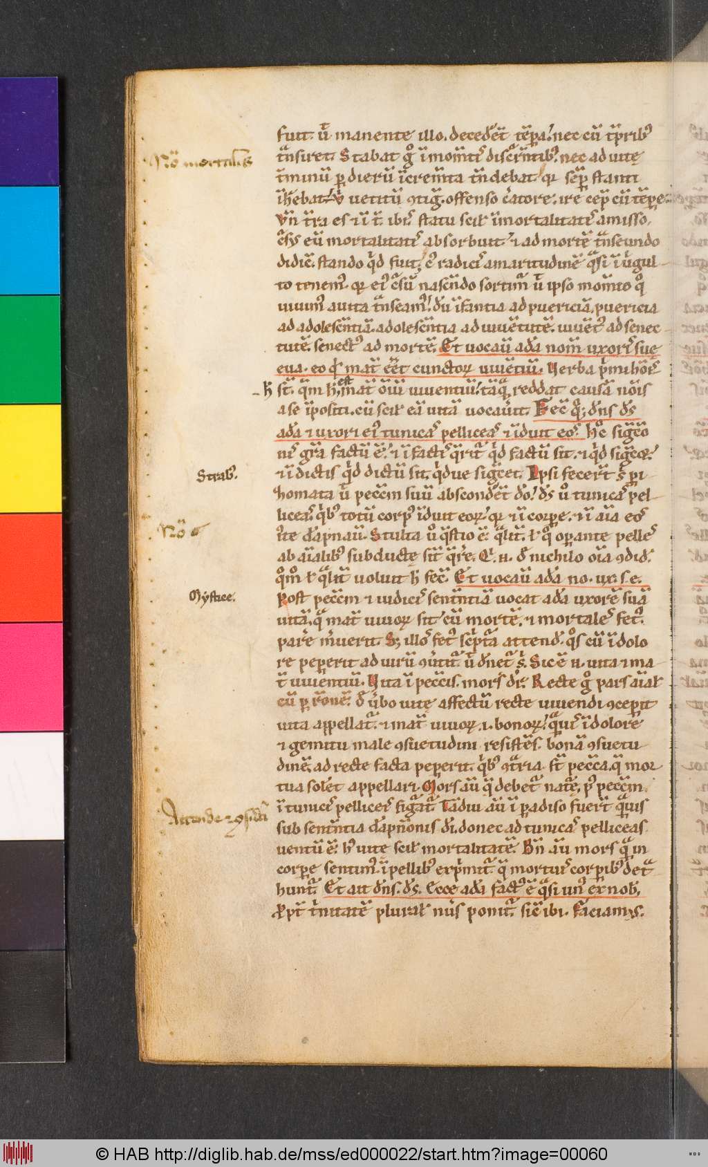 http://diglib.hab.de/mss/ed000022/00060.jpg