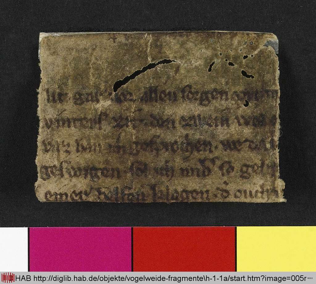 http://diglib.hab.de/mss/ed000031/005r.jpg