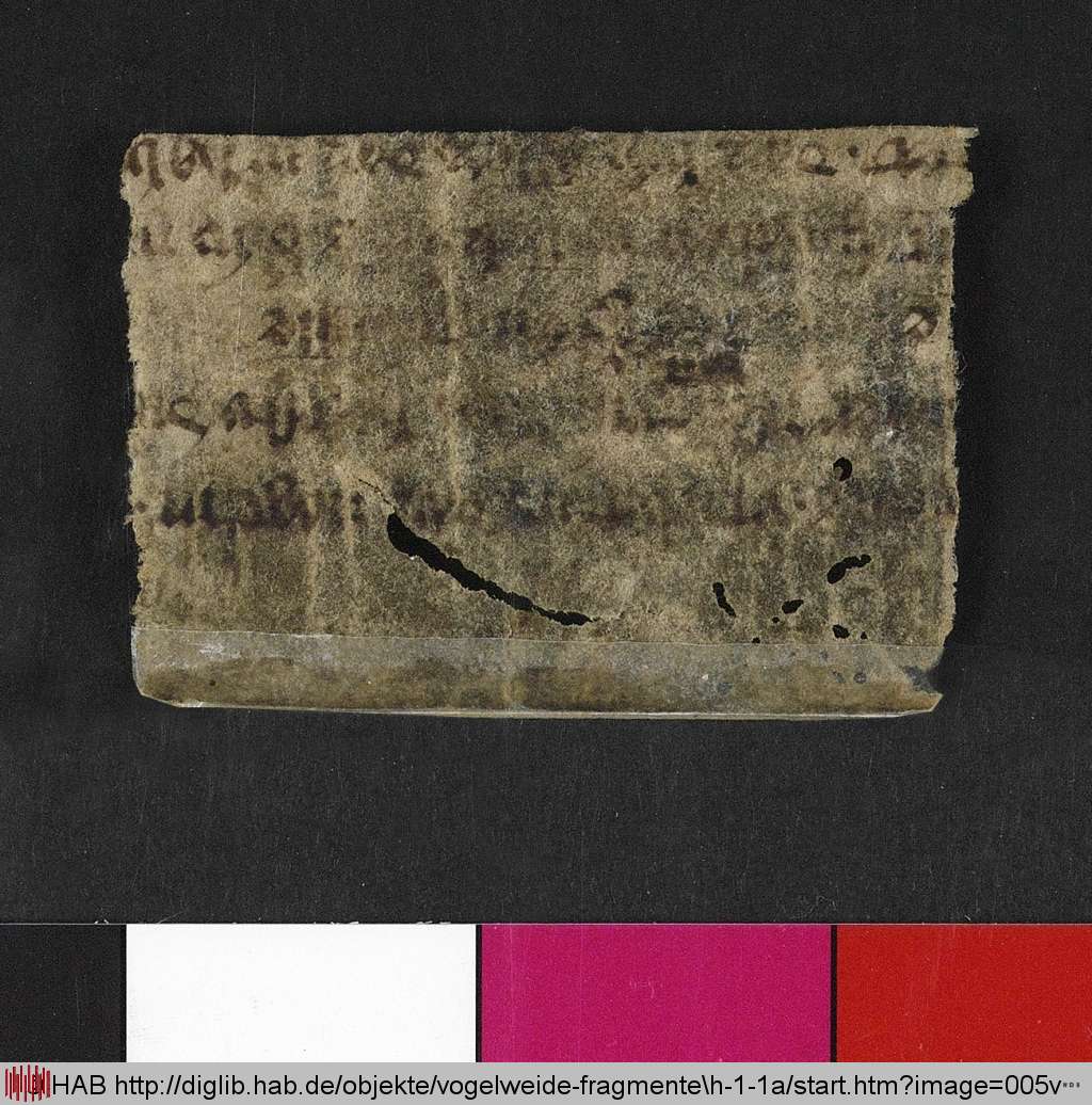 http://diglib.hab.de/mss/ed000031/005v.jpg