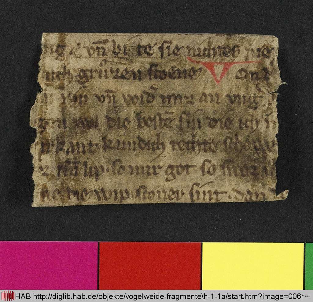 http://diglib.hab.de/mss/ed000031/006r.jpg