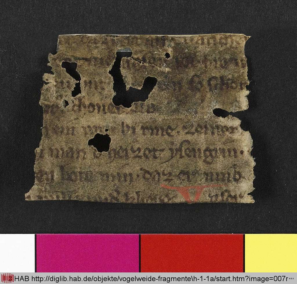 http://diglib.hab.de/mss/ed000031/007r.jpg