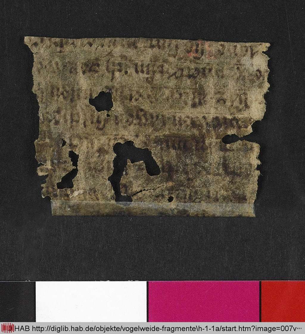 http://diglib.hab.de/mss/ed000031/007v.jpg