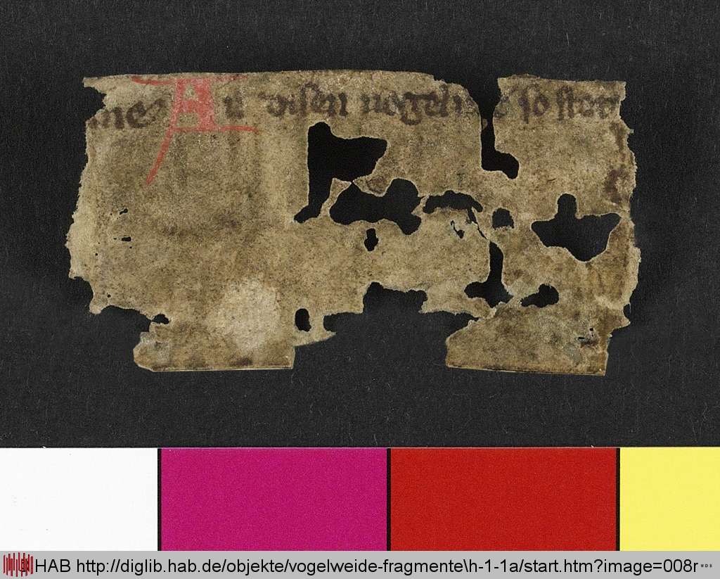http://diglib.hab.de/mss/ed000031/008r.jpg