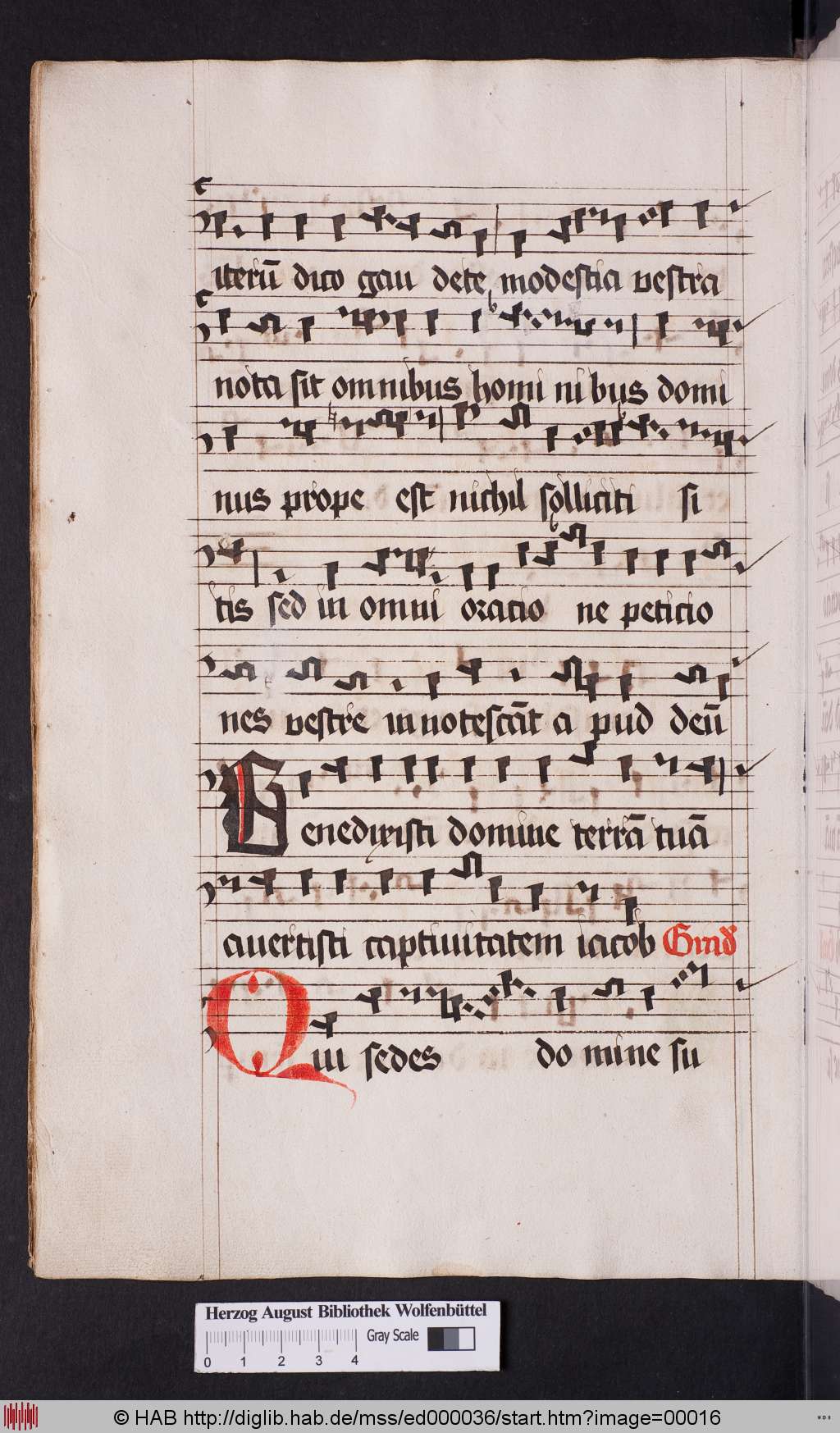 http://diglib.hab.de/mss/ed000036/00016.jpg