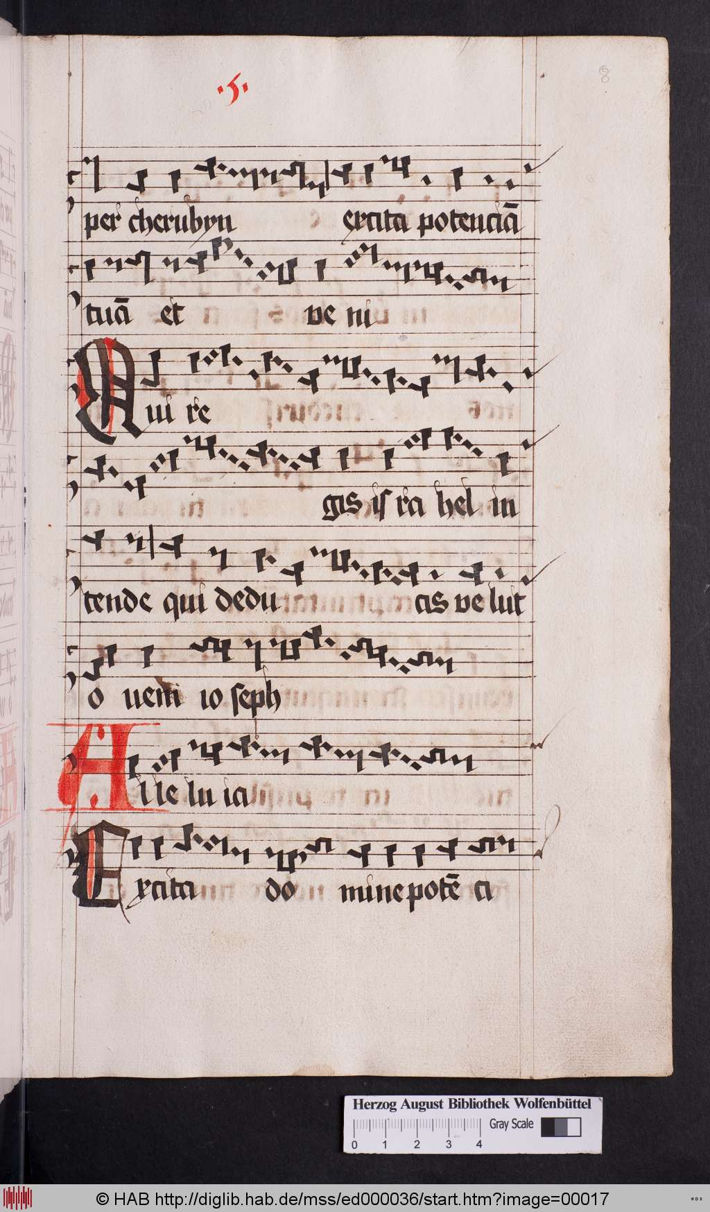 http://diglib.hab.de/mss/ed000036/00017.jpg