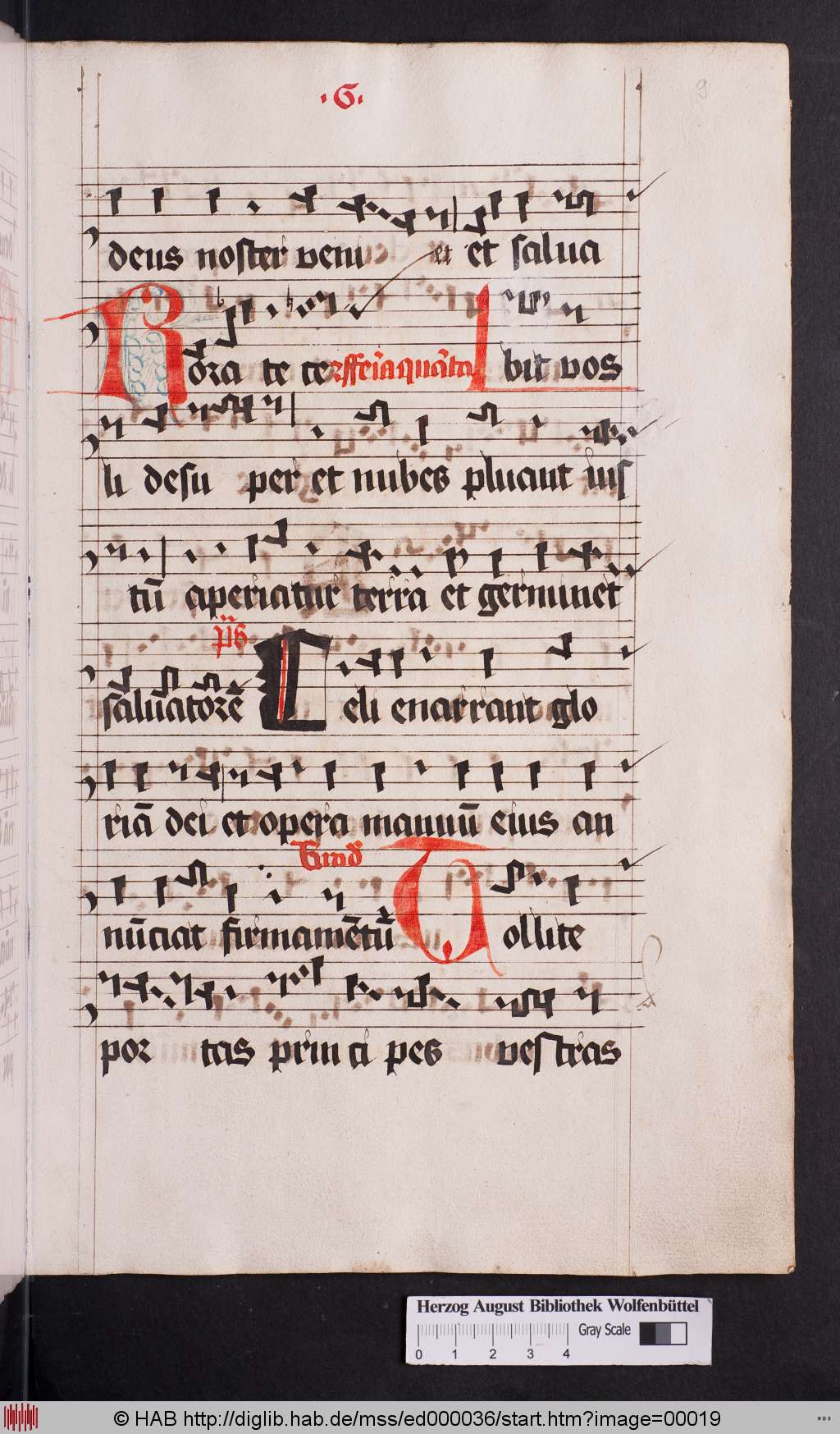 http://diglib.hab.de/mss/ed000036/00019.jpg