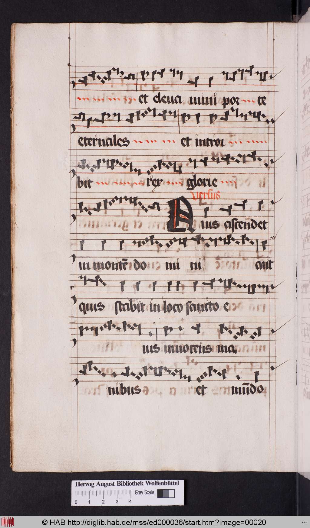 http://diglib.hab.de/mss/ed000036/00020.jpg