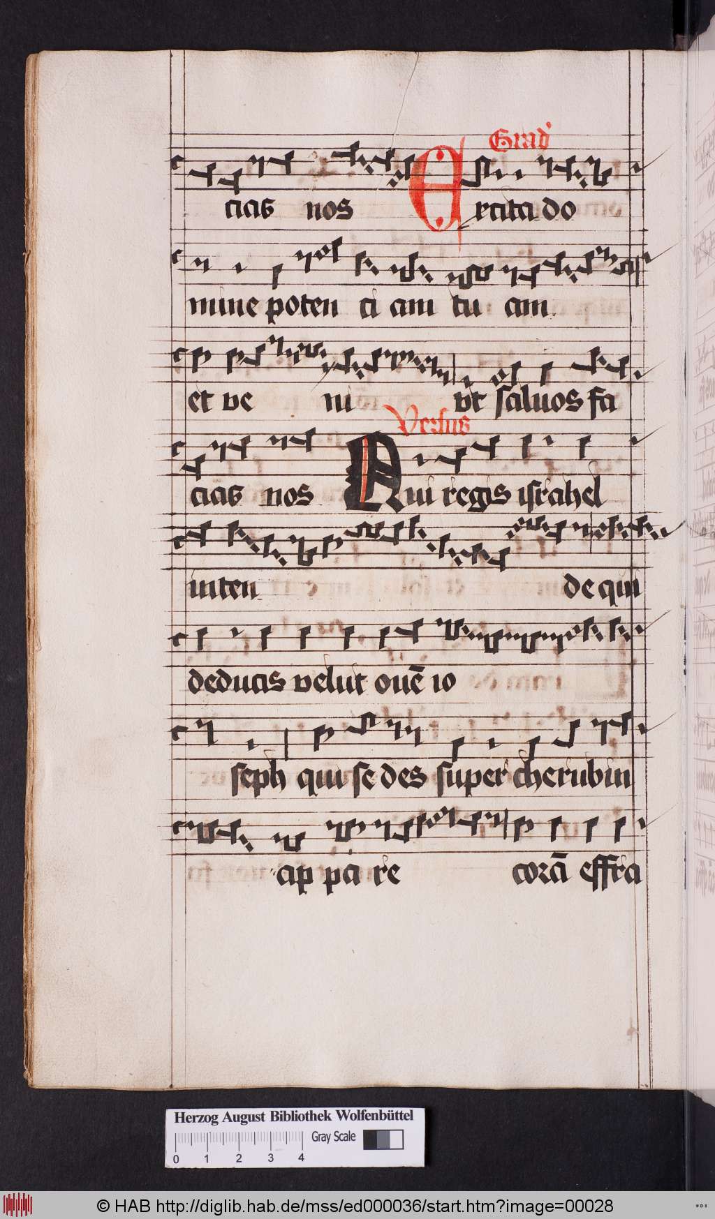 http://diglib.hab.de/mss/ed000036/00028.jpg