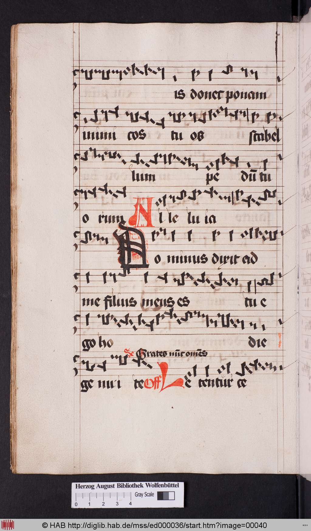 http://diglib.hab.de/mss/ed000036/00040.jpg
