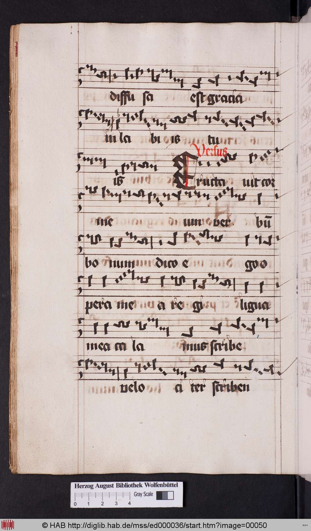 http://diglib.hab.de/mss/ed000036/00050.jpg