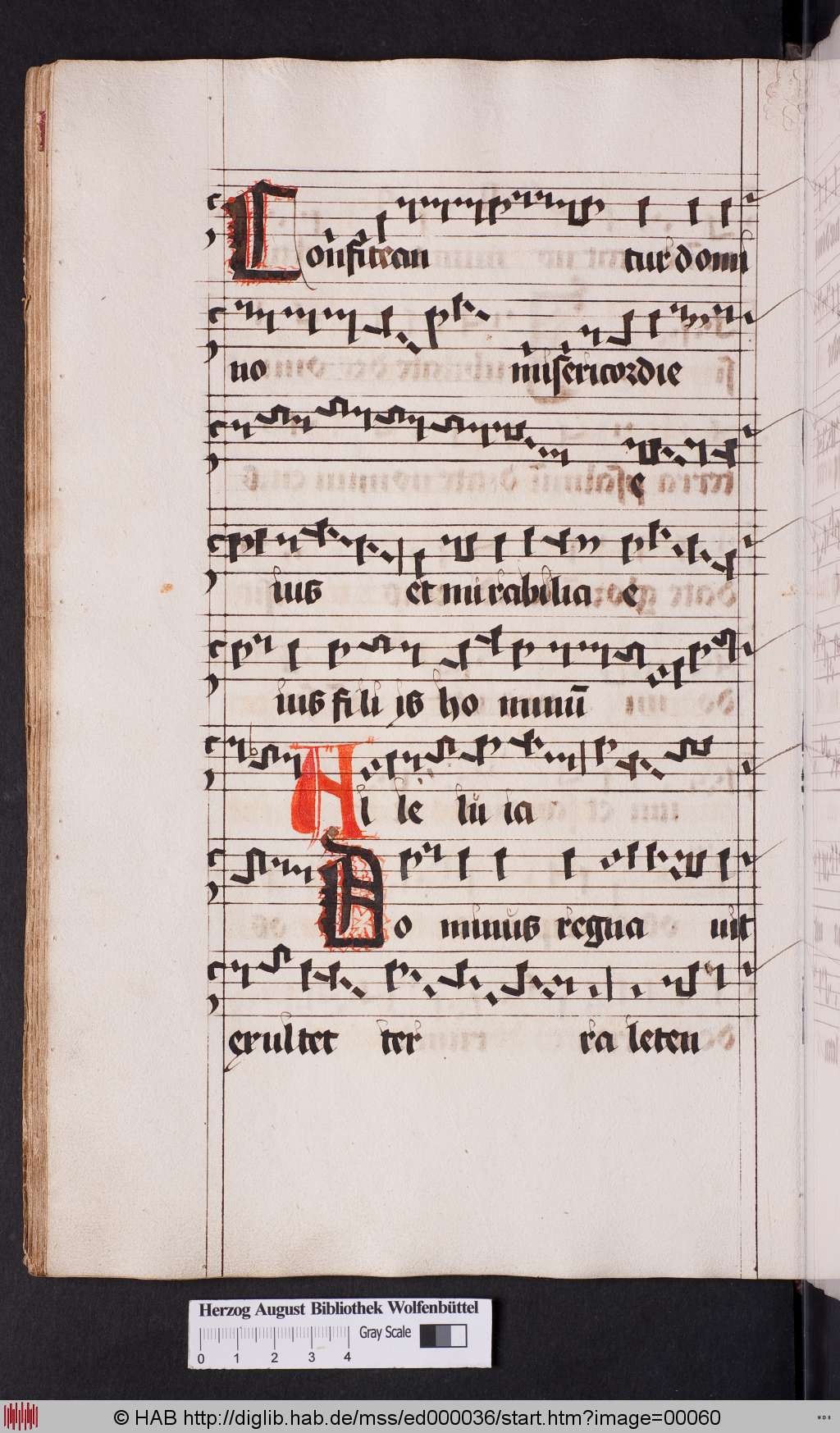http://diglib.hab.de/mss/ed000036/00060.jpg