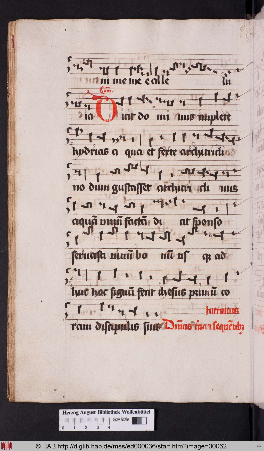 http://diglib.hab.de/mss/ed000036/00062.jpg