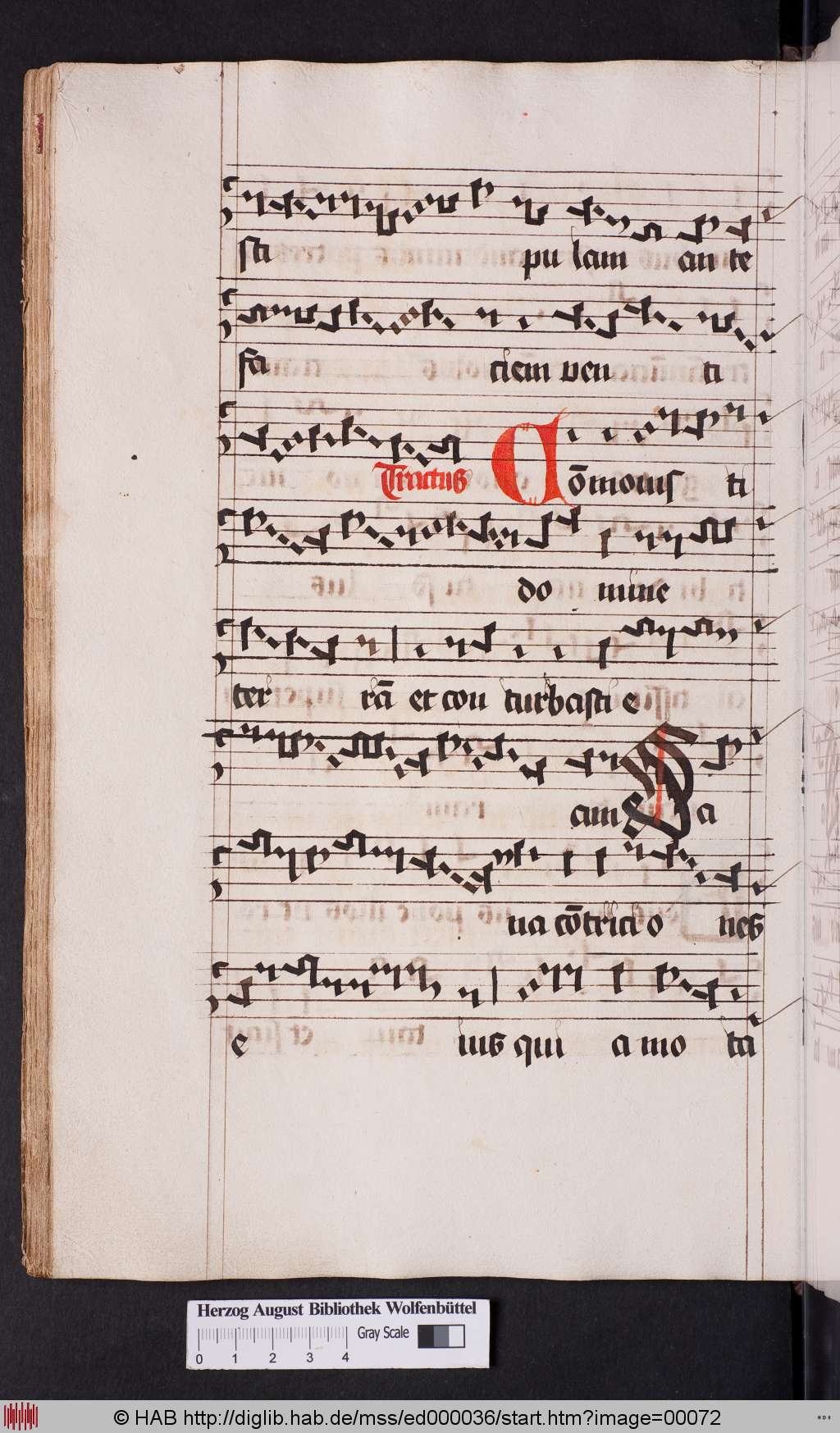 http://diglib.hab.de/mss/ed000036/00072.jpg