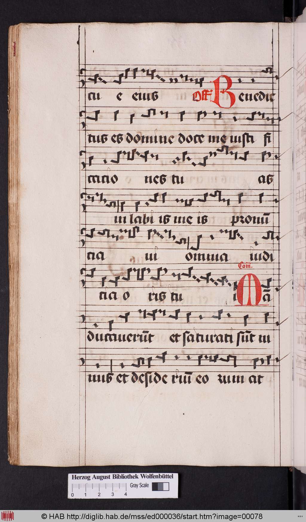 http://diglib.hab.de/mss/ed000036/00078.jpg