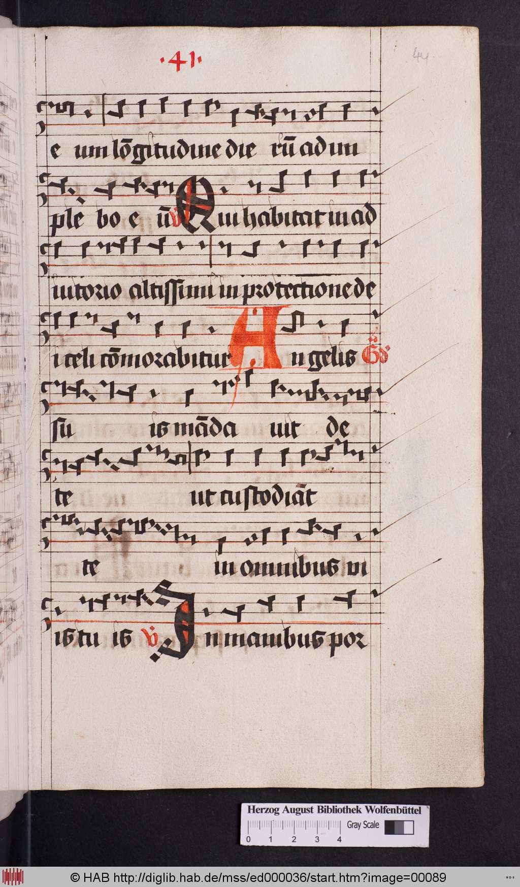 http://diglib.hab.de/mss/ed000036/00089.jpg