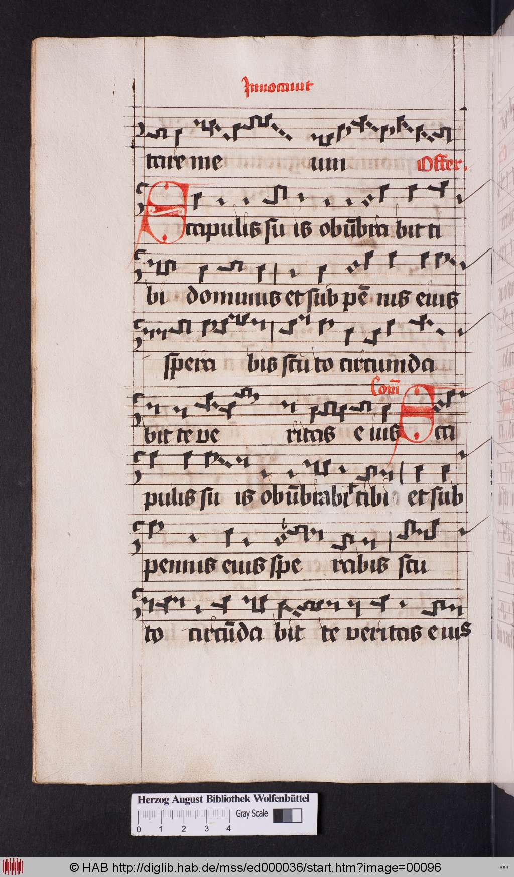 http://diglib.hab.de/mss/ed000036/00096.jpg