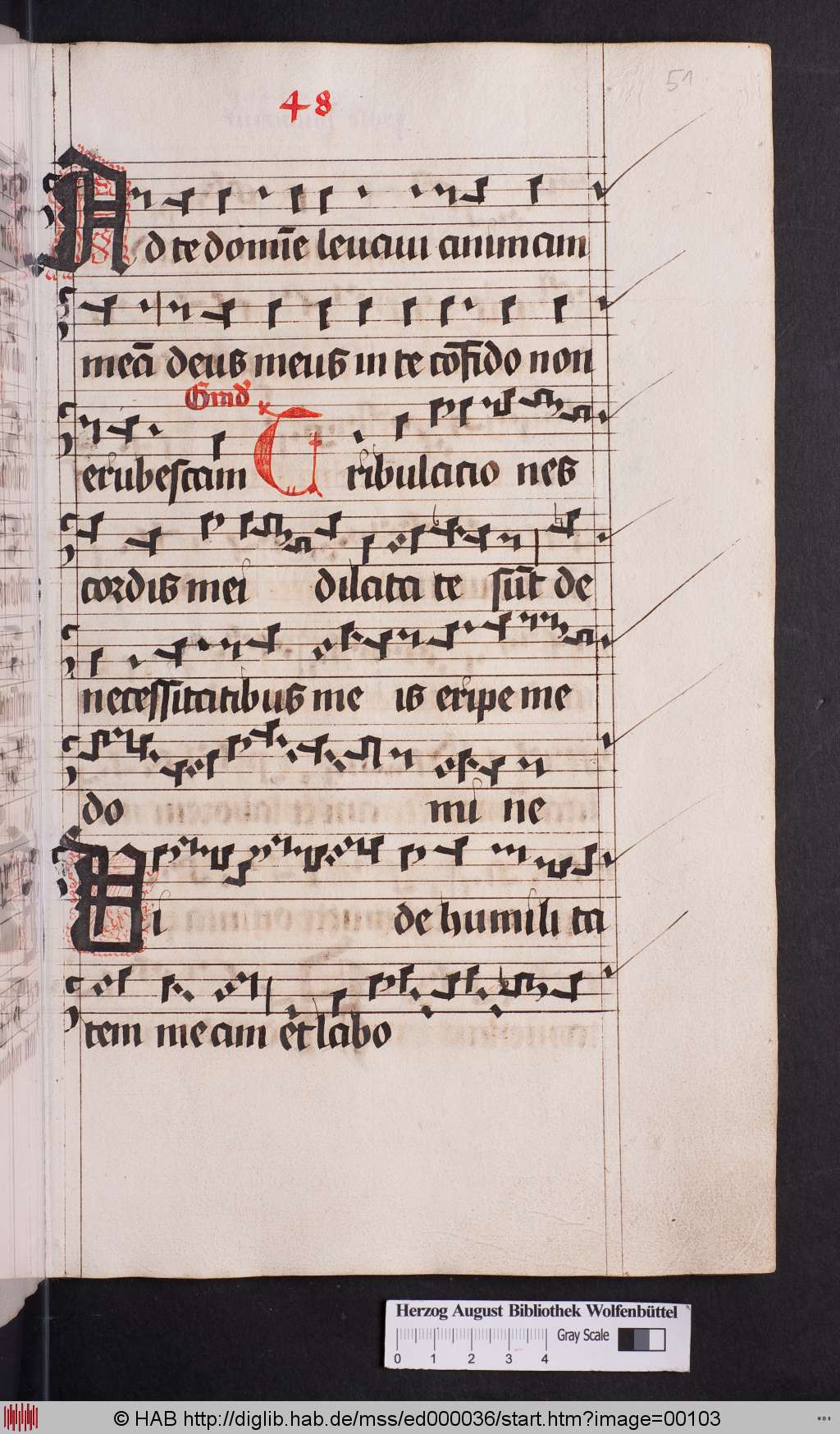 http://diglib.hab.de/mss/ed000036/00103.jpg