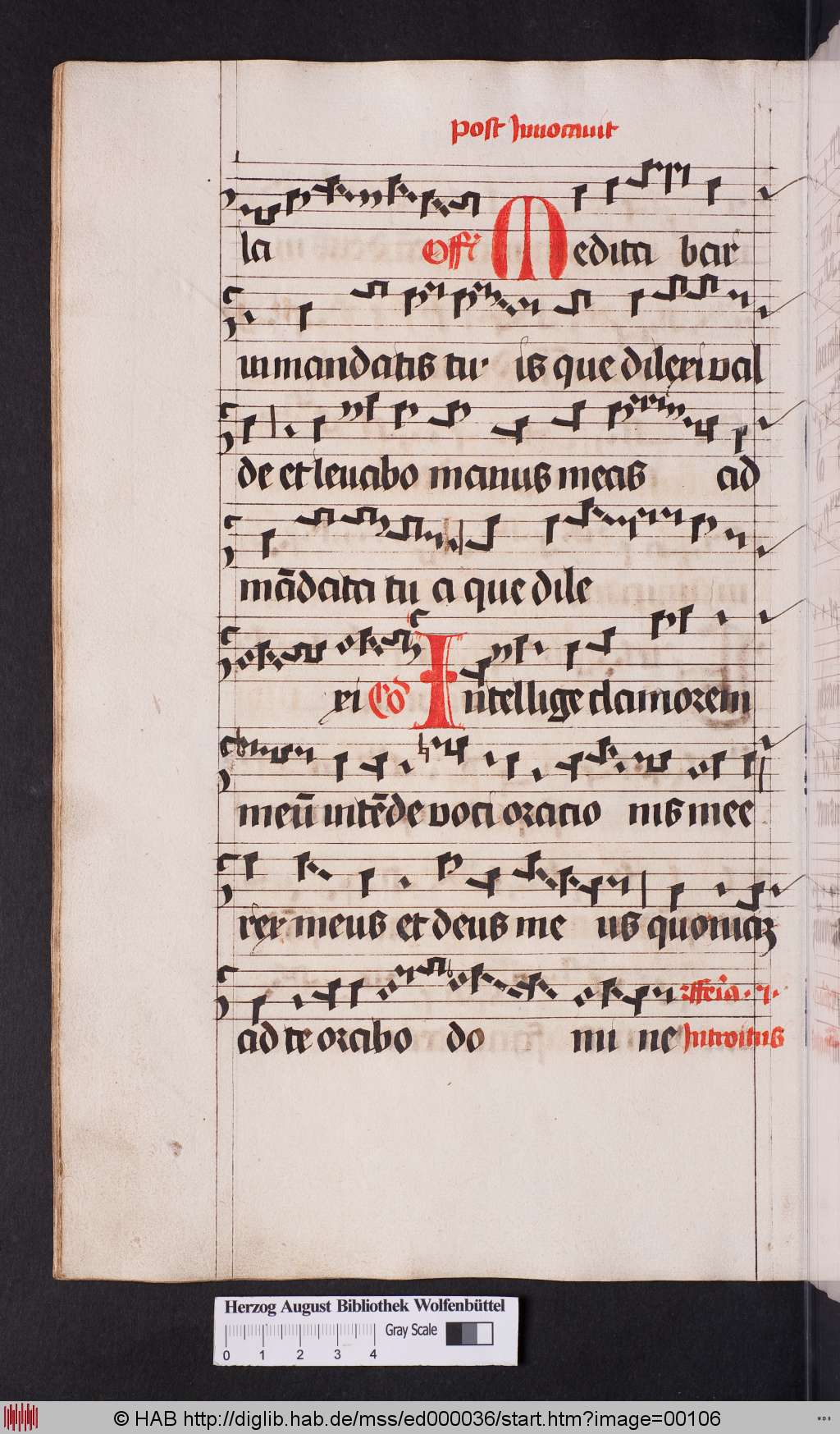 http://diglib.hab.de/mss/ed000036/00106.jpg