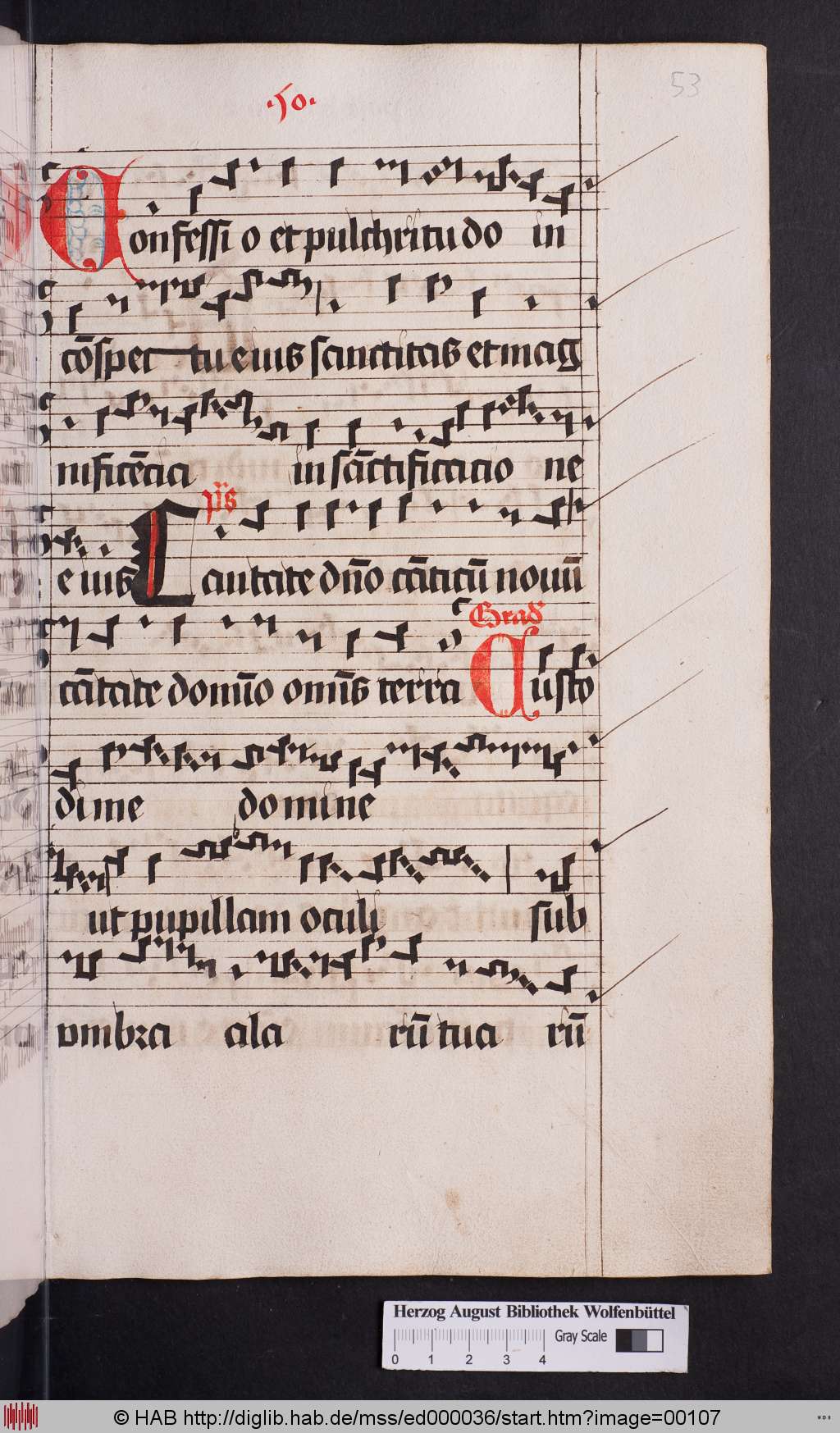http://diglib.hab.de/mss/ed000036/00107.jpg