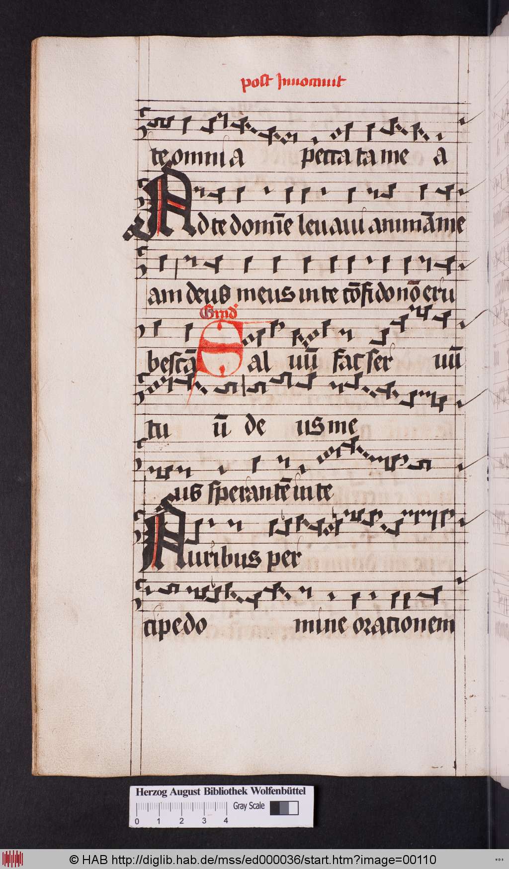 http://diglib.hab.de/mss/ed000036/00110.jpg