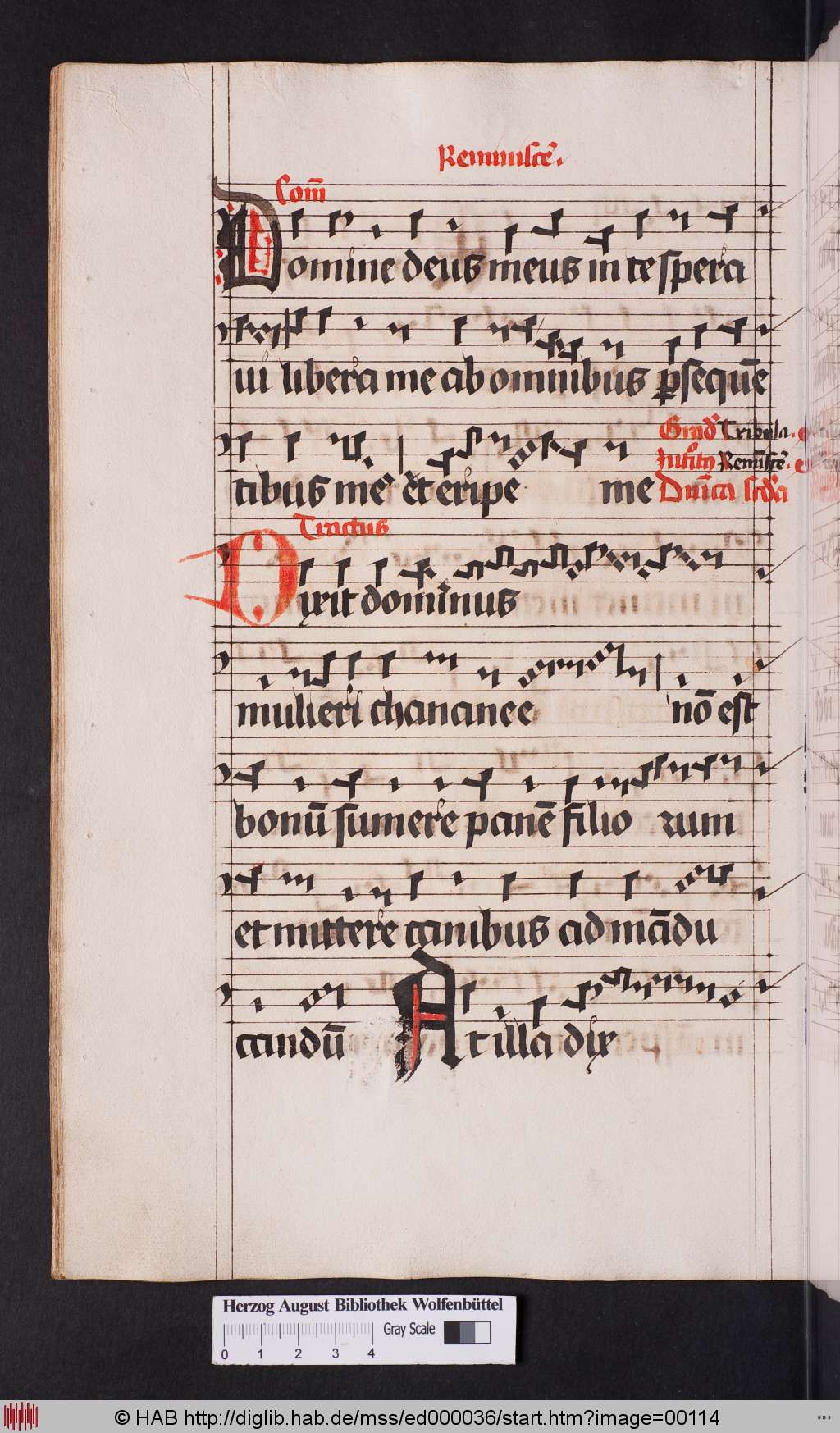 http://diglib.hab.de/mss/ed000036/00114.jpg