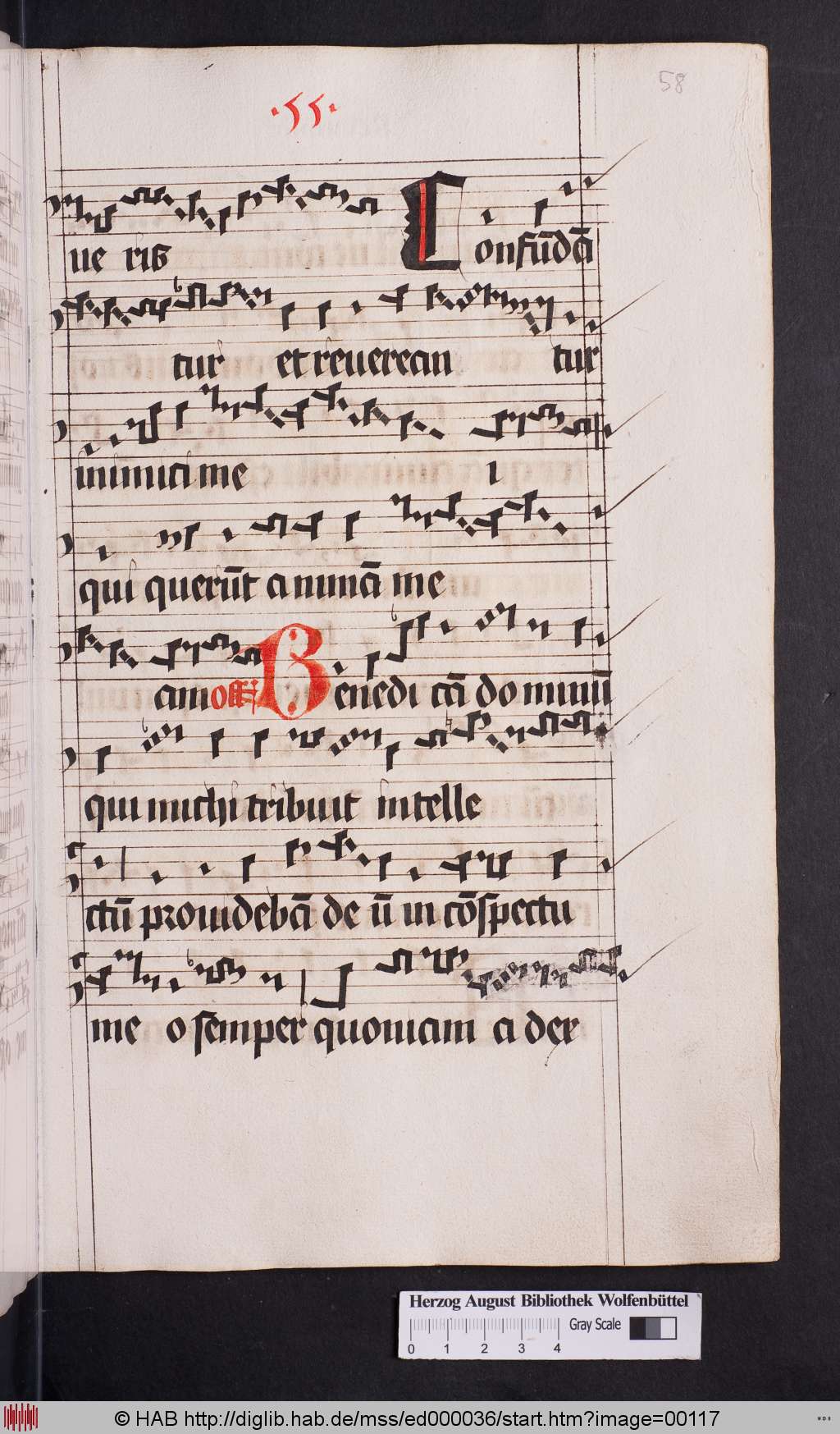 http://diglib.hab.de/mss/ed000036/00117.jpg