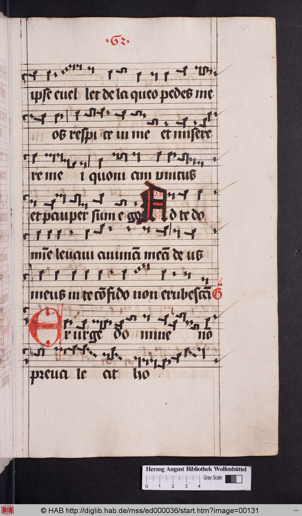 http://diglib.hab.de/mss/ed000036/00131.jpg