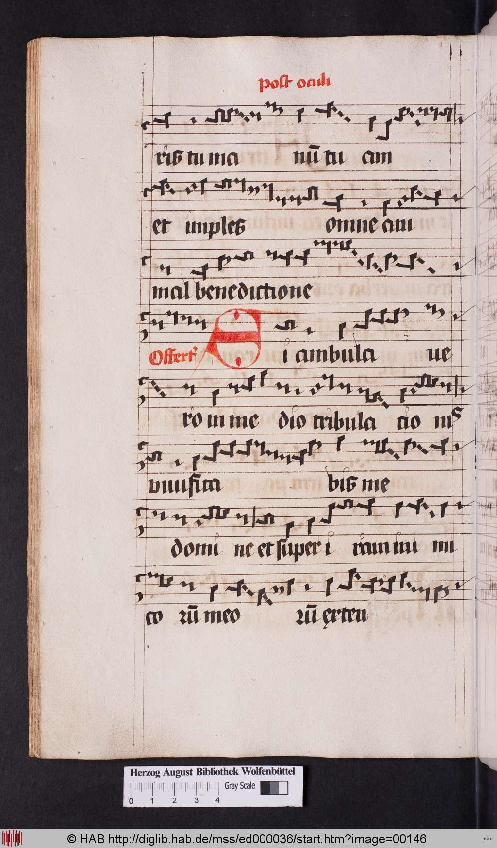 http://diglib.hab.de/mss/ed000036/00146.jpg