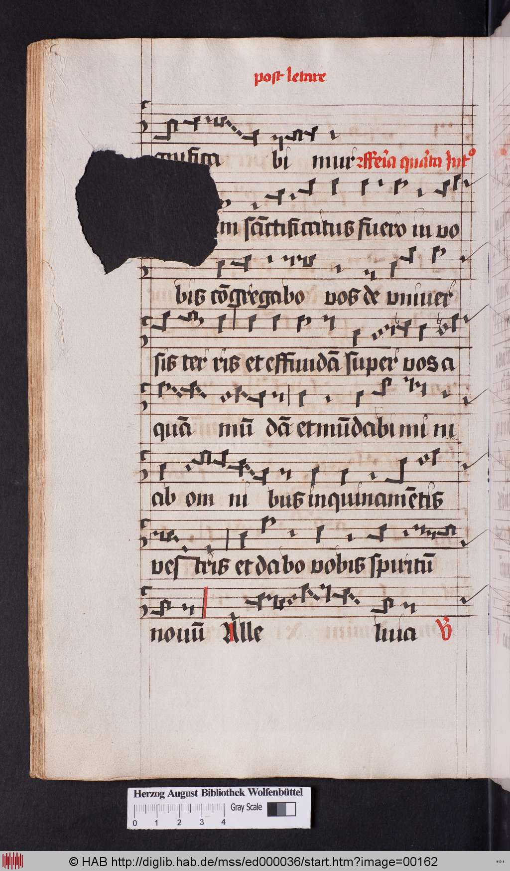 http://diglib.hab.de/mss/ed000036/00162.jpg