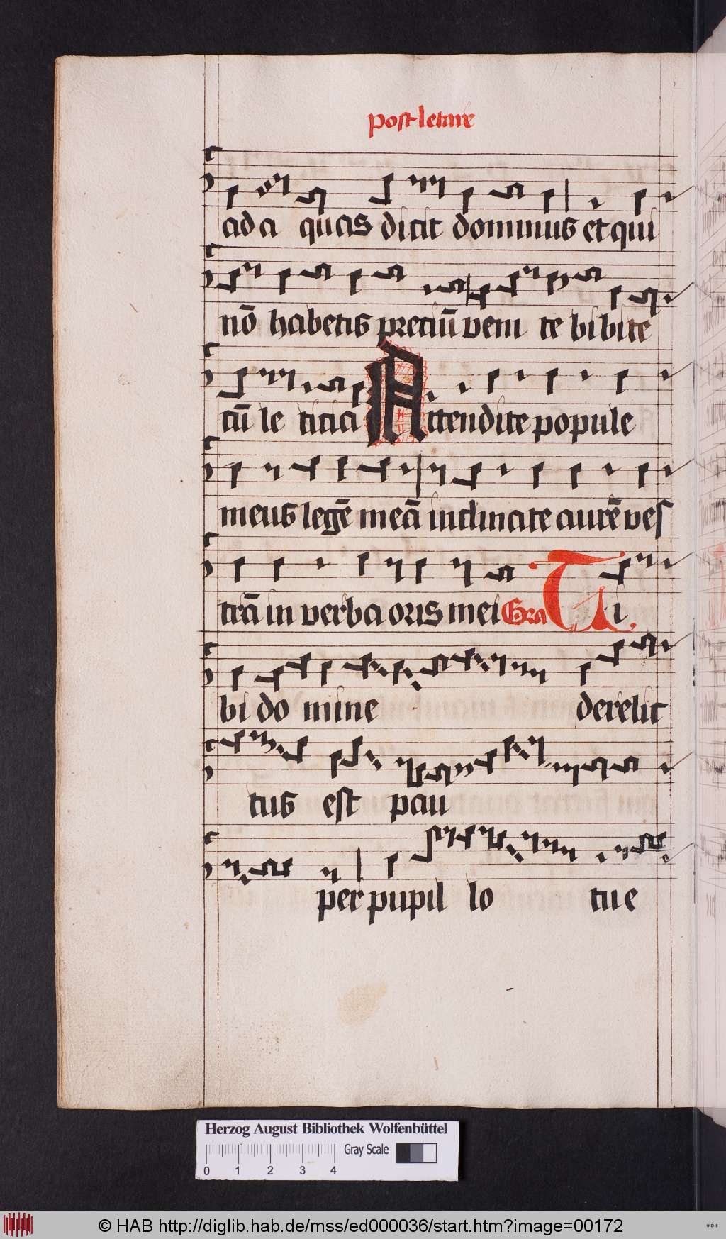 http://diglib.hab.de/mss/ed000036/00172.jpg